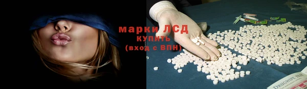 ПСИЛОЦИБИНОВЫЕ ГРИБЫ Семёнов