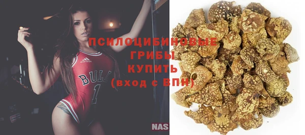 ECSTASY Семикаракорск