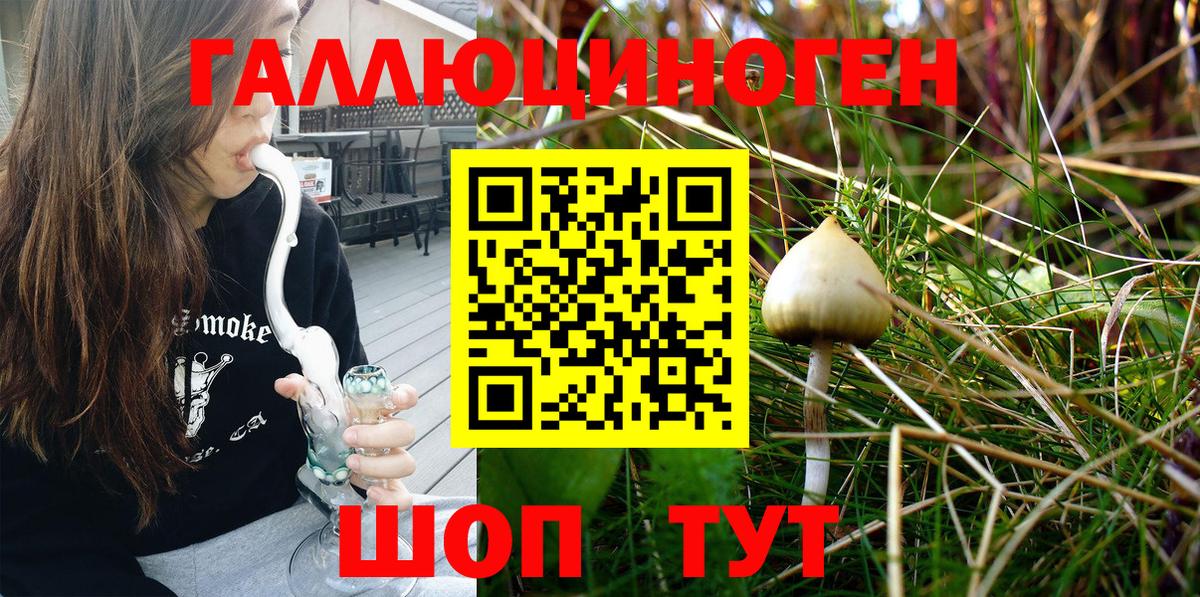 Галлюциногенные грибы мухоморы  Галлюциногенные грибы Psilocybine cubensis  Спасск-Дальний 